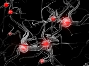 neurón 2